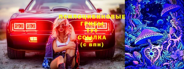соль ск Алексин
