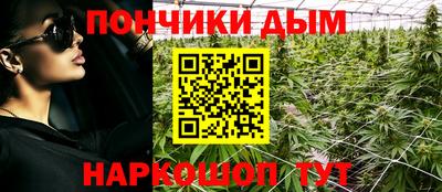 a pvp Кингисепп
