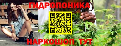 a pvp Кингисепп