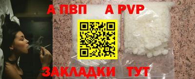 a pvp Кингисепп