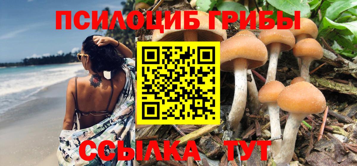 Галлюциногенные грибы GOLDEN TEACHER  Вход с VPN  Тара 